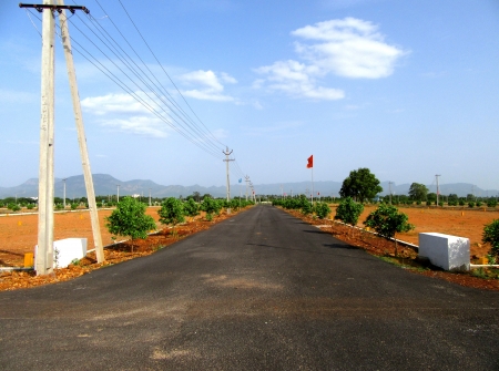 2) Li Id : 150 - Pic : 3.JPG